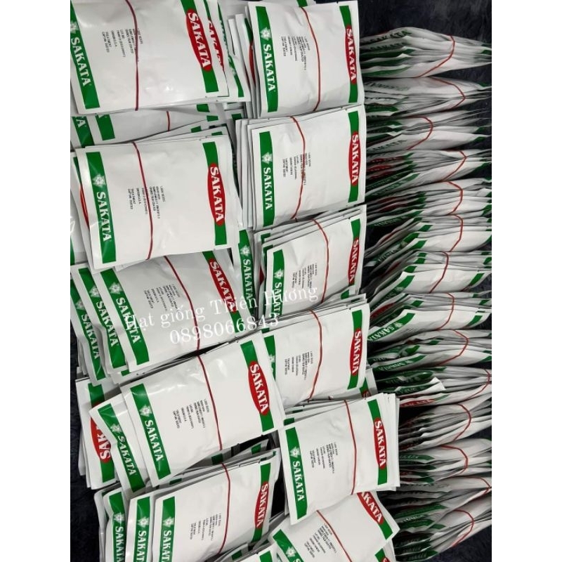 50 hạt giống hướng dương cắt cành sakata nhật bản chuẩn hình hoa