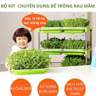 [ Bộ Kít ] Khay trồng rau mầm thủy canh chuyên dụng (6 khay 3 tầng )