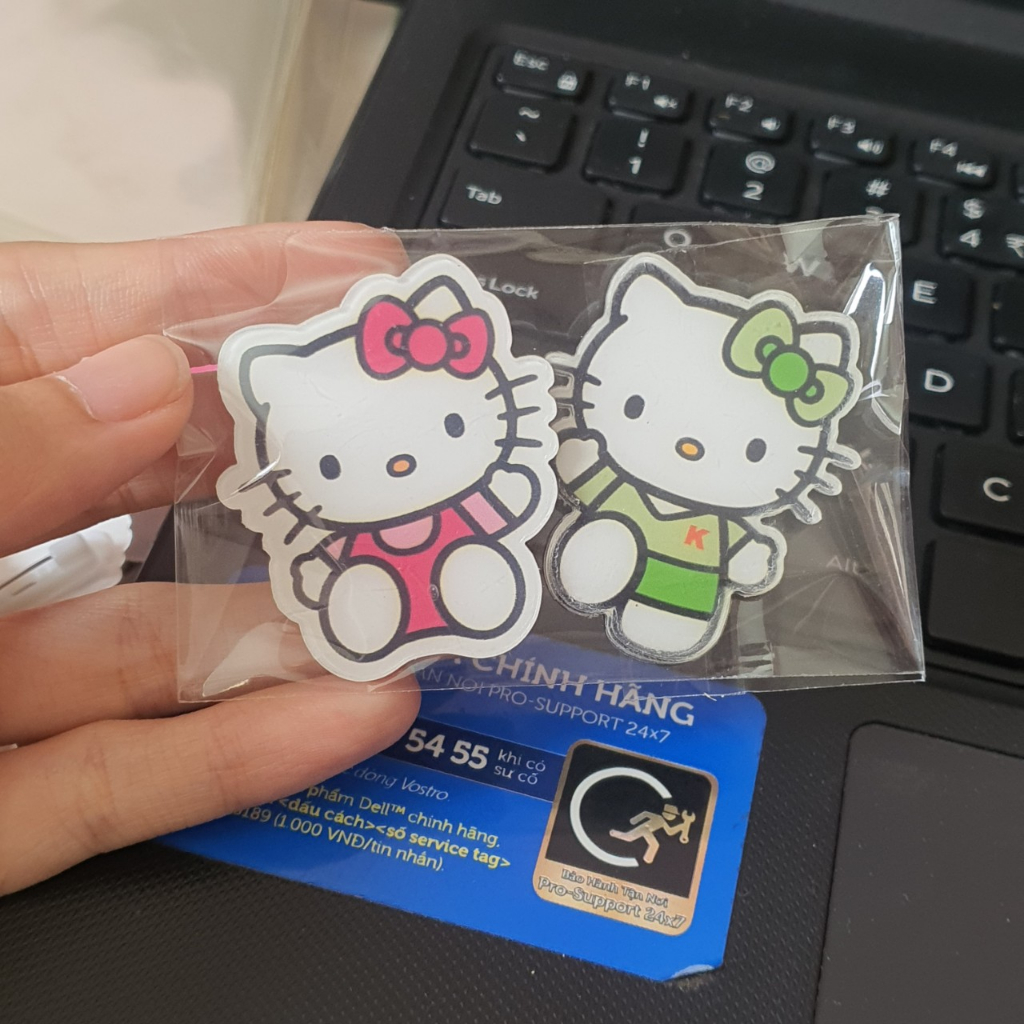 100 TÚI BÓNG KÍNH GÓI HÀNG 6K 12*5,4CM