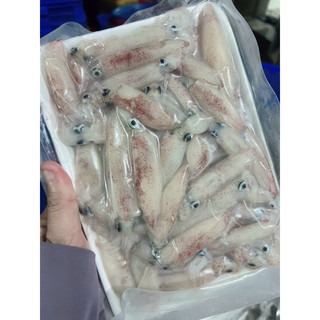 Mực sữa mini tươi ngon 1kg (giao tphcm)