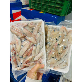 Mực sữa mini tươi ngon 1kg (giao tphcm)