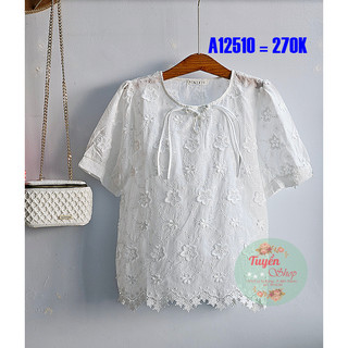 Áo kiểu cổ kết nút tàu