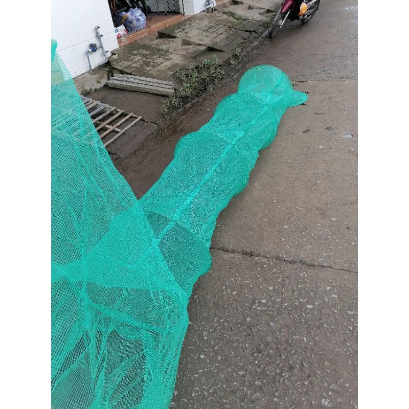 Dớn Bắt Cá loại Đại SIÊU TO