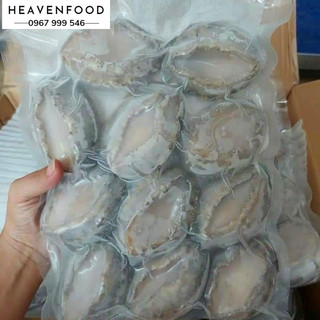 Bào ngư hàn quốc size 10-12 con/kg