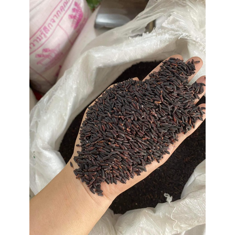 Gạo lứt đen Mù Cang Chải Loại 1 dẻo thơm Gạo lức