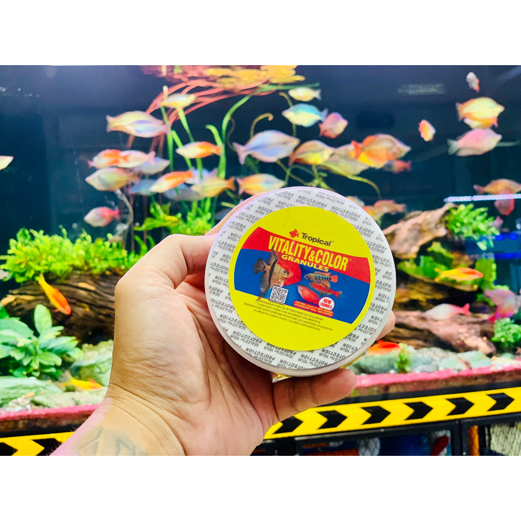 Thức ăn cám cá  Tropical Vitality & Color Granulat Bản Nâng Cấp kích màu cá Cầu vồng, Đĩa, thần tiên, Cá thuỷ sinh...