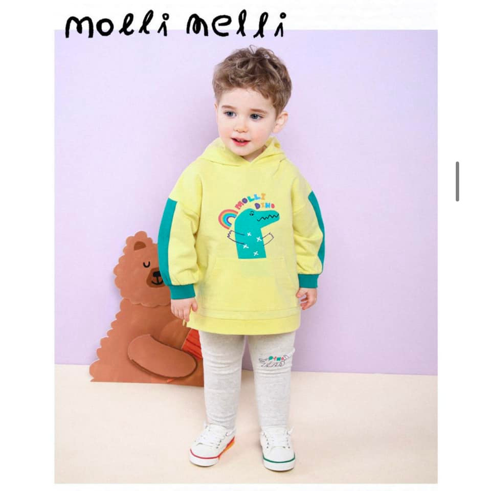 Bộ nỉ quần legging Mollimelli vàng khủng long xanh Nga Fish B1L4V8