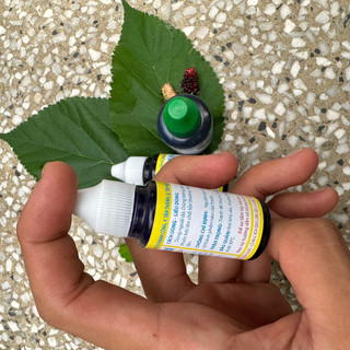Dung dịch Xanh Methylen cá cảnh