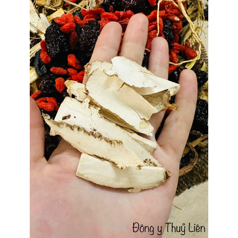 BẠCH CHỈ ( bắc ) sấy khô, đã thái lát [500g]