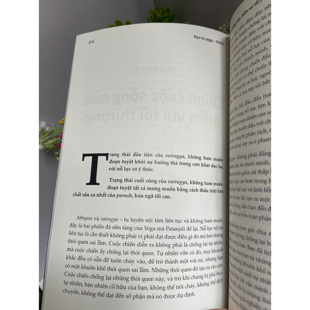 Sách - Đạo tu Yoga - Osho - Hà Thủy Nguyên dịch – Book Hunter – Nxb Dân Trí