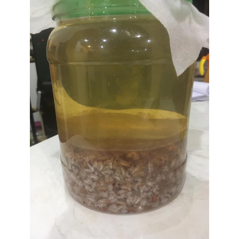 Giấm Gạo Lứt Huyết Rồng Lên Men Tự Nhiên