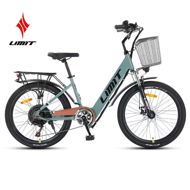 Xe đạp trợ lực điện oder