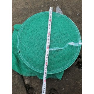 Dớn bắt cá , Đại ( ĐK 48cm ,3 hôm ) Loại Đại 5 Vành.