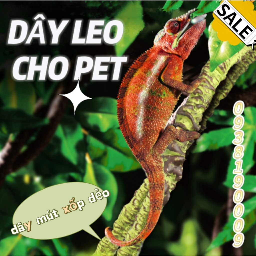 DÂY LEO MÚT XỐP DẺO TRANG TRÍ: TẮC KÈ HOA BABY CHAMELEON, LIZARD, BÒ SÁT NHỎ, THÚ CƯNG NHỎ, REPTILES, GECKO,...CẤP TỐC.