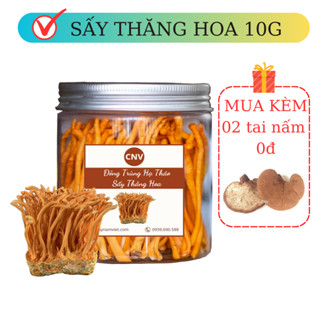 Đông Trùng Hạ Thảo khô sấy thăng hoa 10g nguyên cọng 99% - Cây Nấm Việt