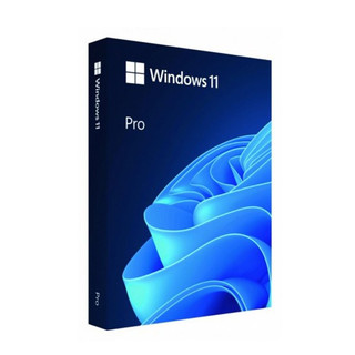 Phần mềm bản quyền Windows 11 Pro FPP 64-bit Eng Intl USB ( HAV-00163 )