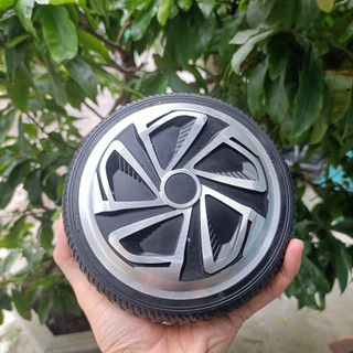 Bánh xe cân bằng 24V- 36V 350W