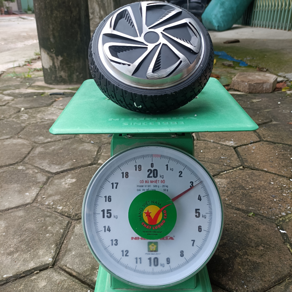 Bánh xe cân bằng 24V- 36V 350W