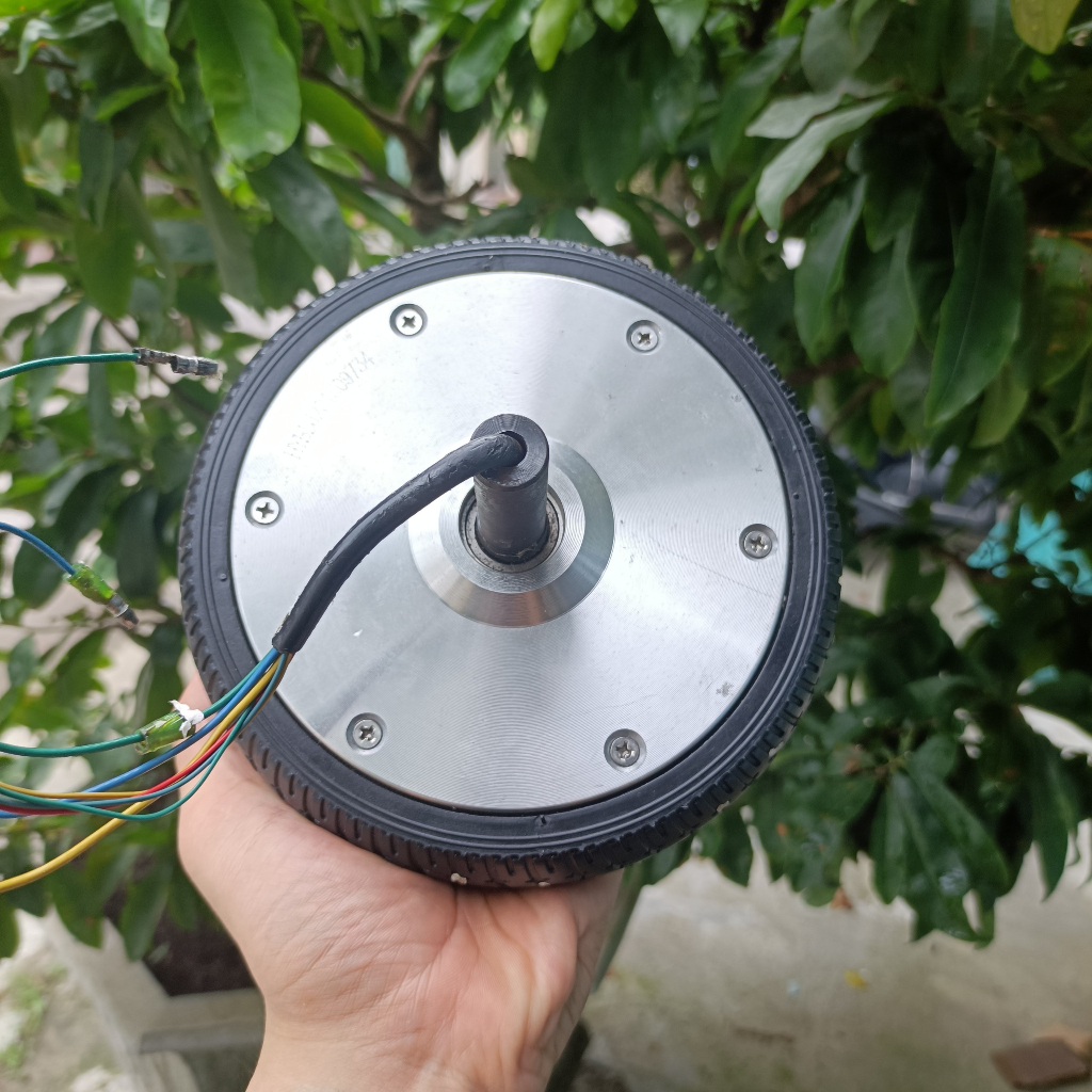 Bánh xe cân bằng 24V- 36V 350W