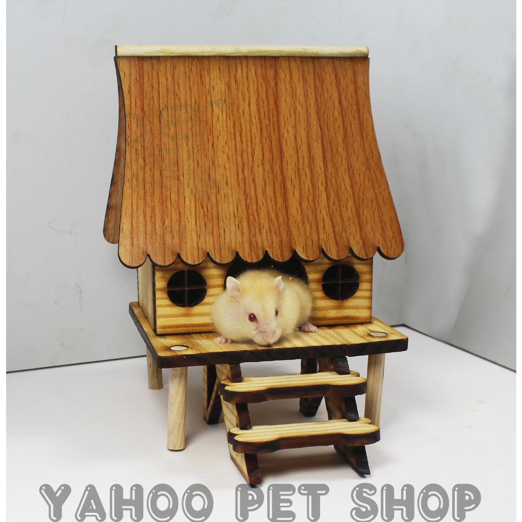 Nhà sàn gỗ, mô hình nhà sàn Tây Nguyên lớn