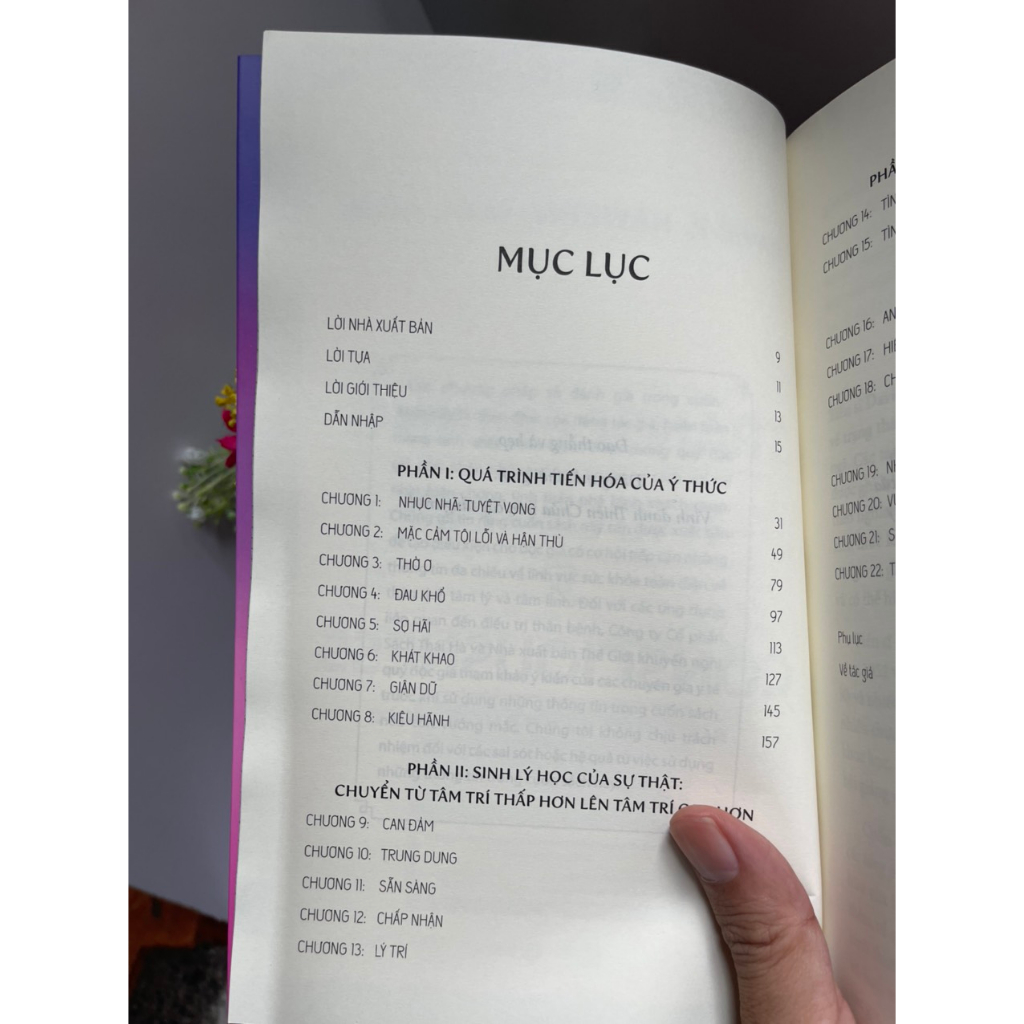 Sách_ Transcending the levels of consciousness – Siêu việt các tầng ý thức– Thái Hà – NXB Thế giới