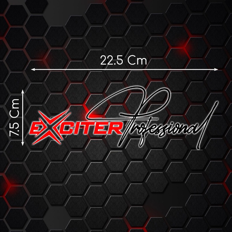 Tem xe Exciter 150 155 phong cách Professional exciter