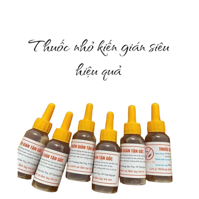 Thuốc diệt kiến gián tận gốc