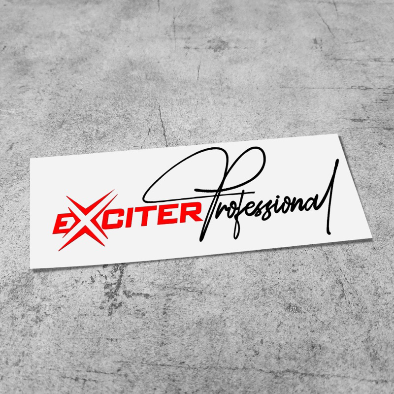 Tem xe Exciter 150 155 phong cách Professional exciter