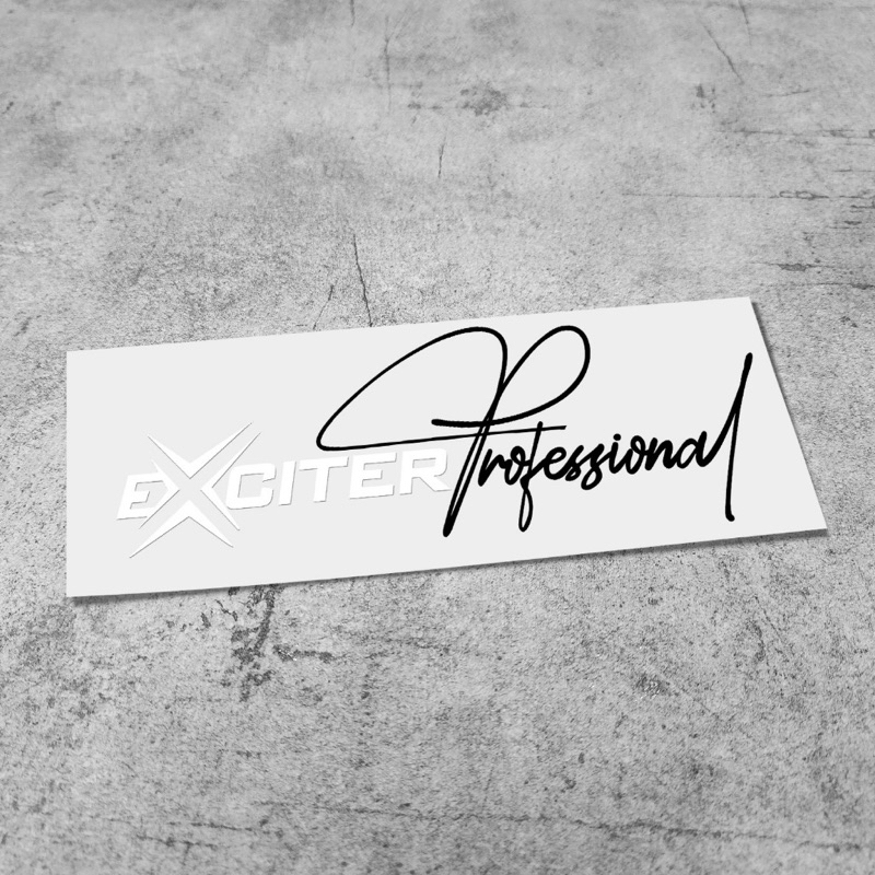 Tem xe Exciter 150 155 phong cách Professional exciter