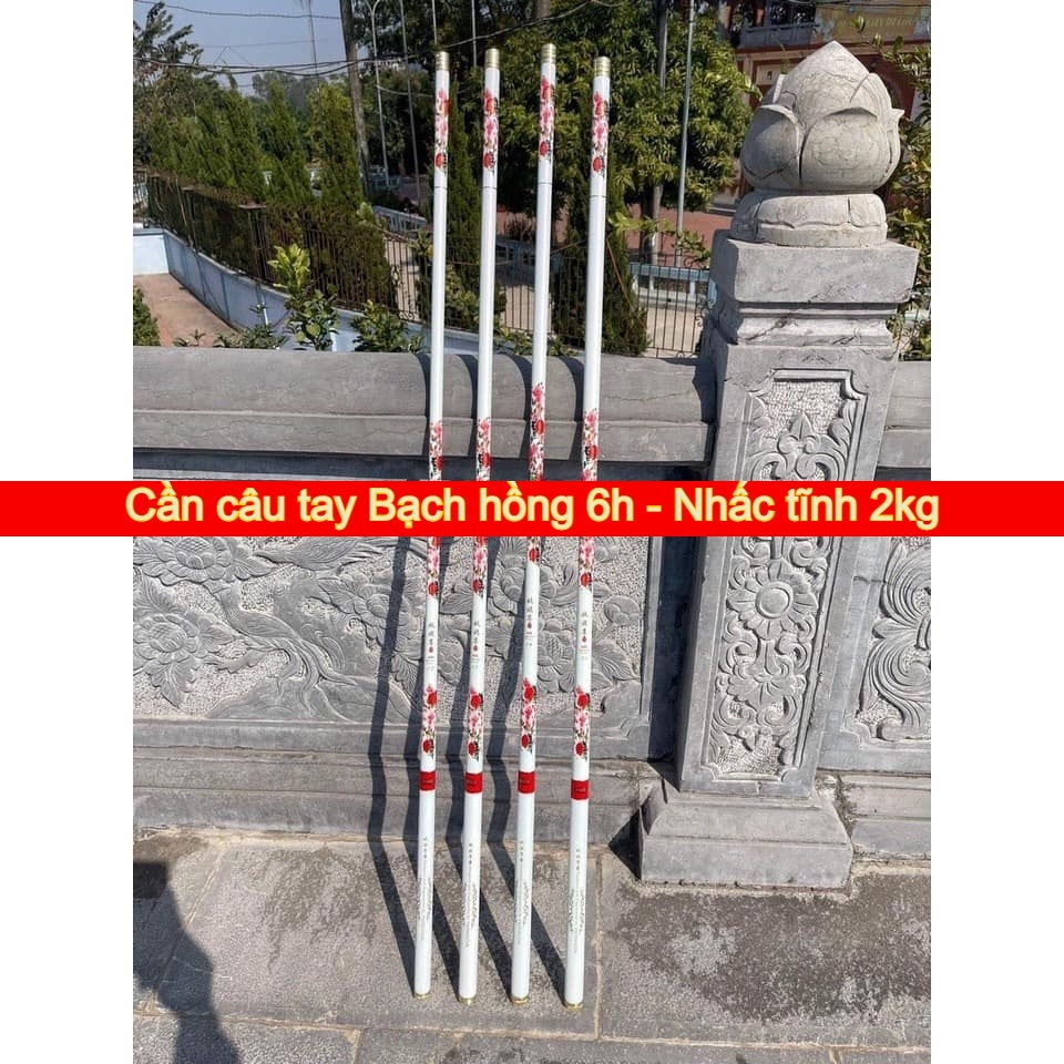 Cần Câu Tay Bạch Hồng (Yêu Kiều Tôn) 6H - cao cấp tải cá khỏe_Câu Đài CT26 - Sanami Fishing