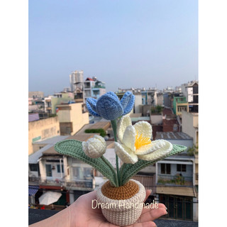 [Có sẵn] Chậu Hoa Tulip Dream Handmade (tag cắm ghi lời chúc theo yêu cầu, ib lời chúc cho shop nhé)