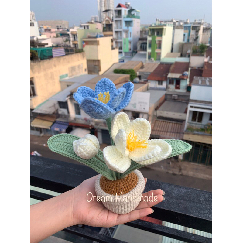 Chậu Hoa Tulip Dream Handmade