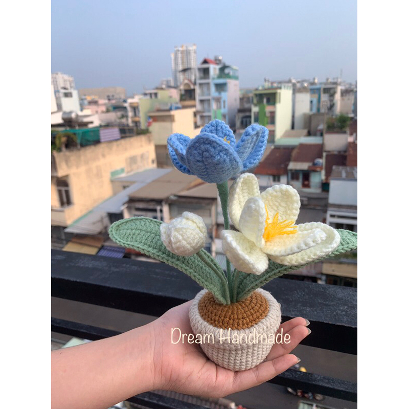 Chậu Hoa Tulip Dream Handmade
