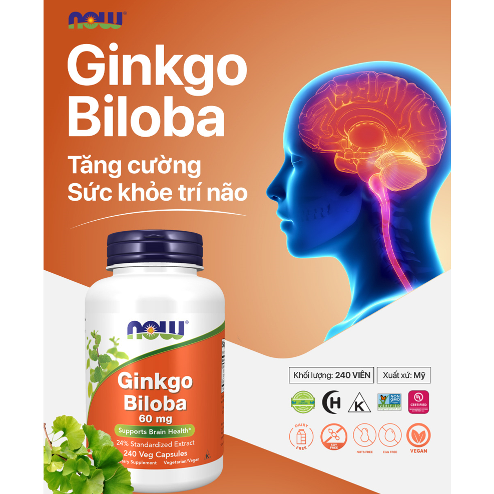 Viên uống NOW Ginkgo Biloba 60 mg 240 (viên) nhập khẩu Mỹ - Gymstore
