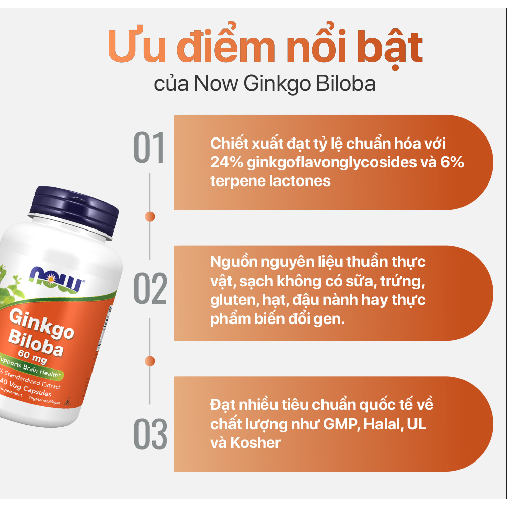 Viên uống NOW Ginkgo Biloba 60 mg 240 (viên) nhập khẩu Mỹ - Gymstore