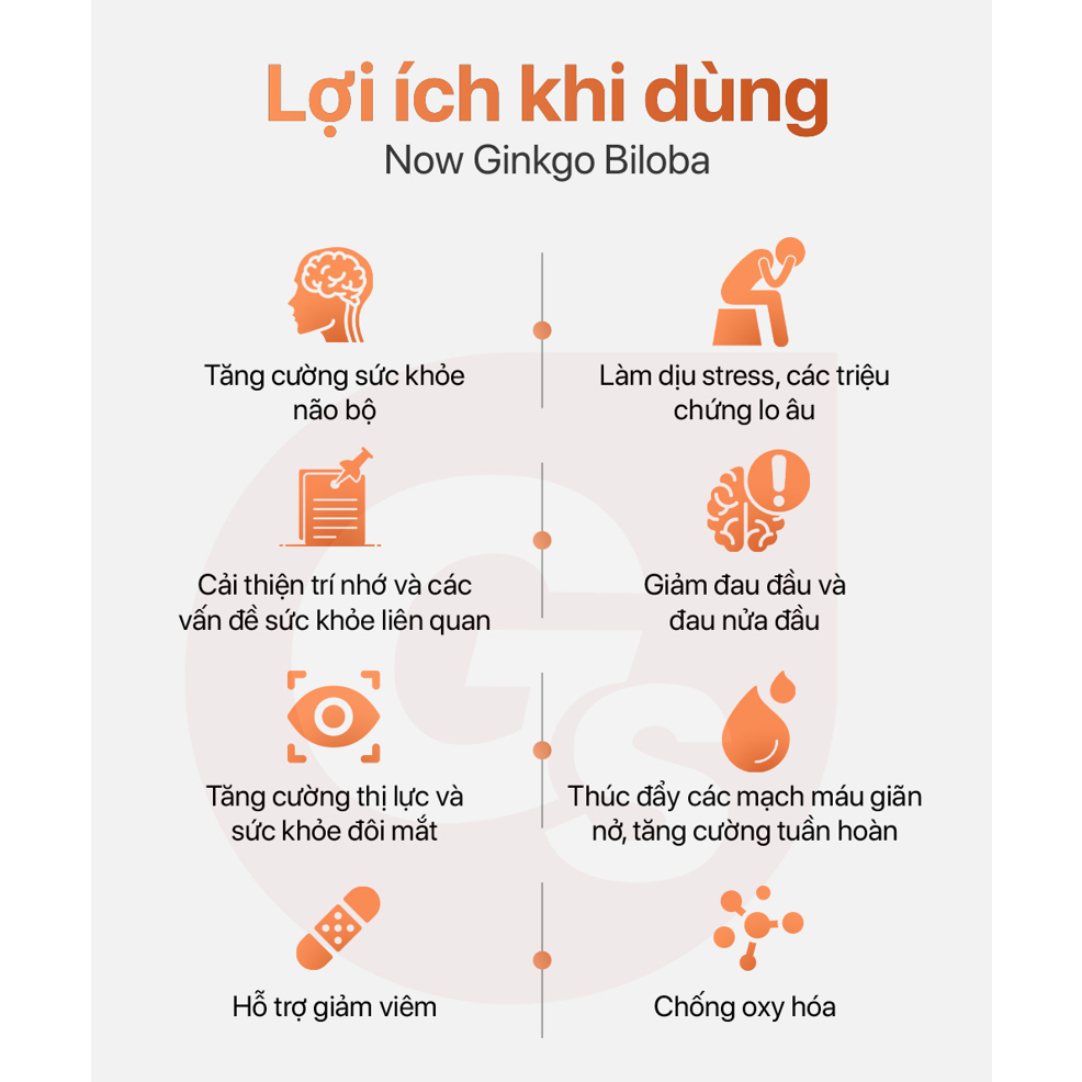 Viên uống NOW Ginkgo Biloba 60 mg 240 (viên) nhập khẩu Mỹ - Gymstore