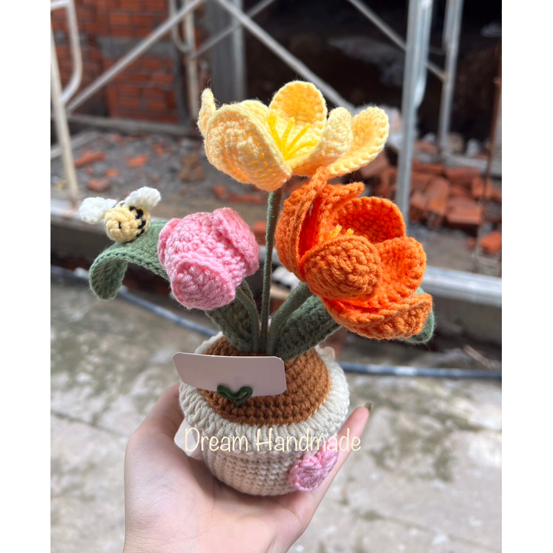 Chậu Hoa Tulip Dream Handmade