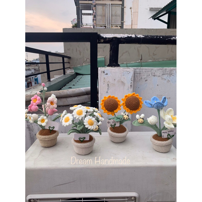 Chậu Hoa Tulip Dream Handmade