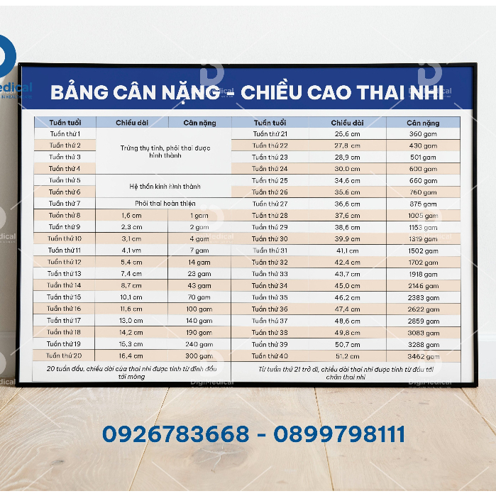 (Tranh Khung) Tranh Bảng Chiều Cao - Cân Nặng Thai Nhi