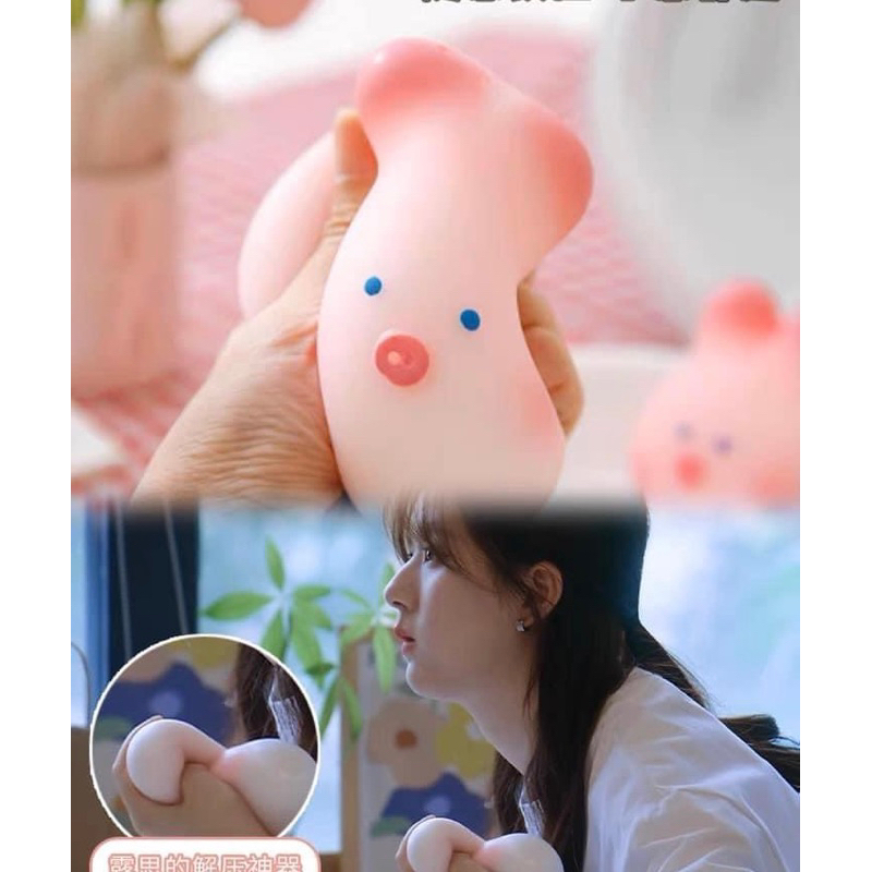 Có sẵn Lợn con xả stress giống Đoàn Gia Hứa tặng Tang Trĩ