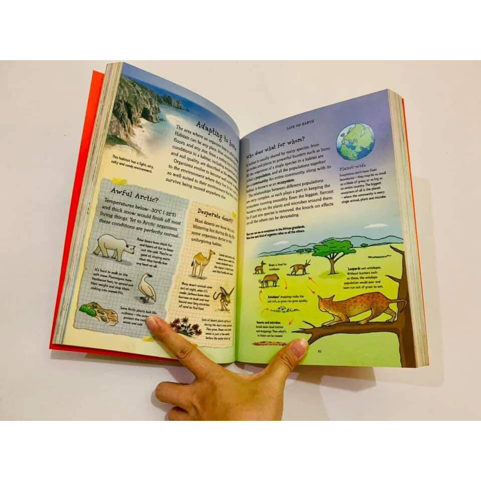 Sách - WHAT'S Maths, Chemistry, Physics, Science, Biology ALL ABOUT? bộ 5 cuốn