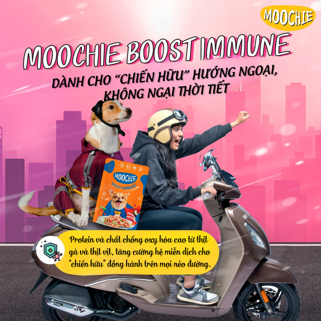 Pate Moochie cho chó nhiều vị dạng gói 85g