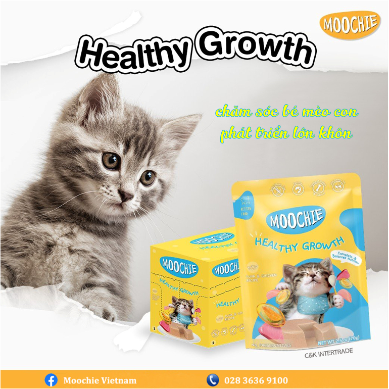 Combo hộp 12 gói pate Moochie cho mèo 70g