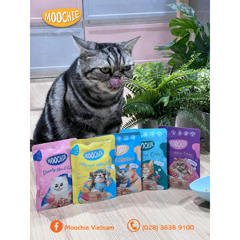 Combo hộp 12 gói pate Moochie cho mèo 70g