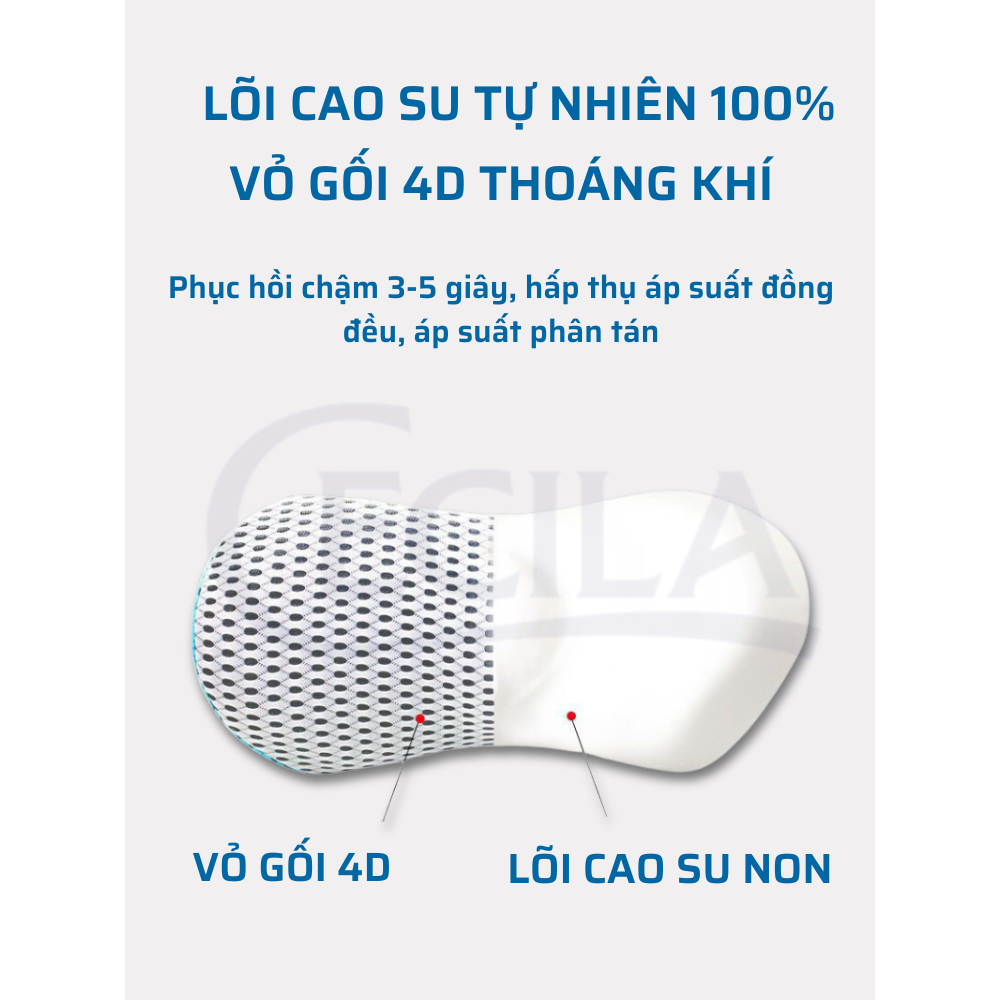 Gối kê lưng CECILA cho người thoát vị đĩa đệm, bà bầu, người đau mỏi thắt lưng. Chất liệu cao su non vỏ 4D thoáng khí.