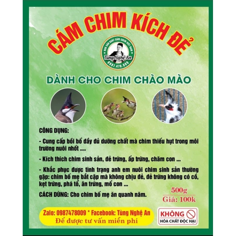 Cám kích đẻ chim chào mào