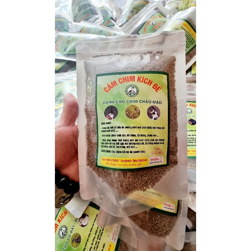 Cám kích đẻ chim chào mào