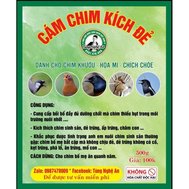 Cám kích đẻ - khướu - Họa mi - chích chòe