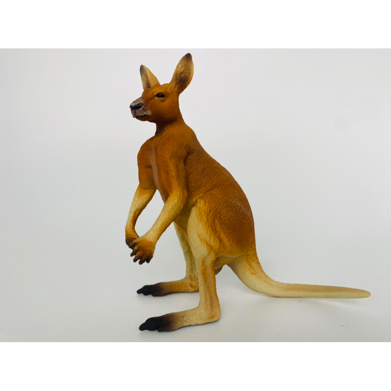 Mô hình động vật: Kangaroo Đực