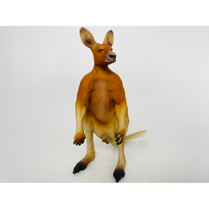 Mô hình động vật: Kangaroo Đực